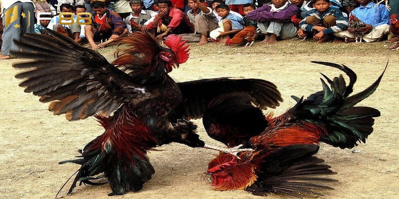 Các quy định về luật chơi rõ ràng