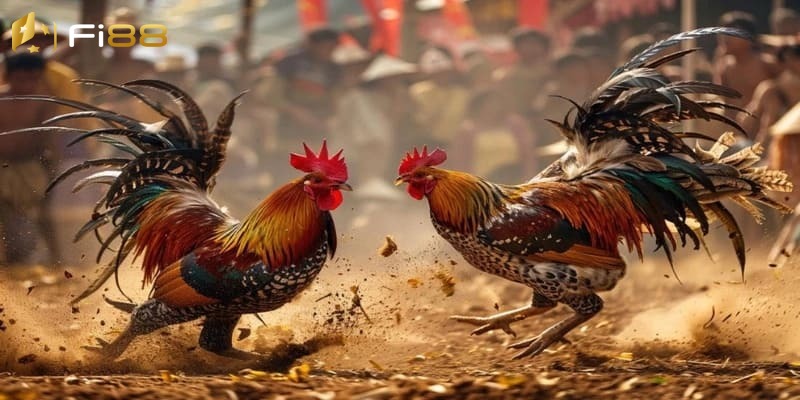 Các kinh nghiệm chơi hữu ích từ cao thủ 