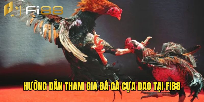 Cách thức tham gia chọi kê cựa dao Fi88 