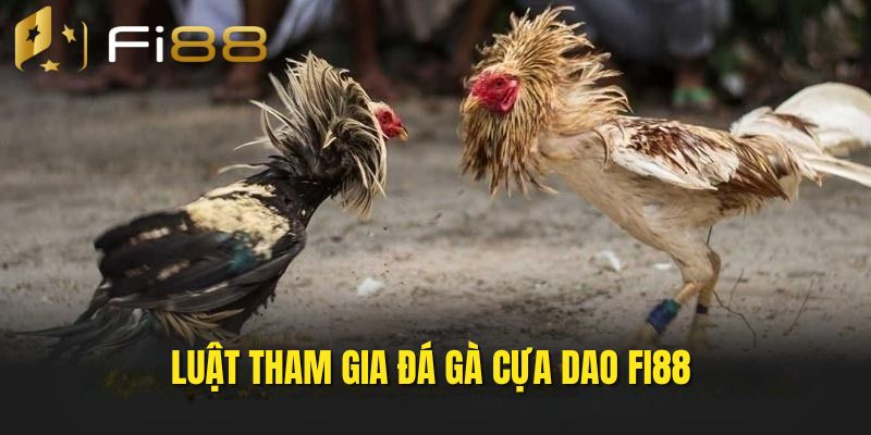Luật chơi chọi kê cựa dao tại Fi88 