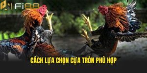 Cách lựa chọn loại cựa phù hợp 
