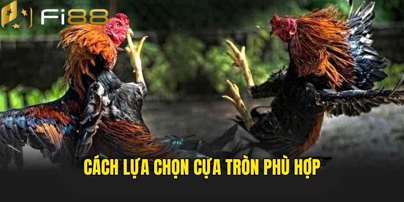 Cách lựa chọn loại cựa phù hợp 